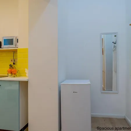 Spacious Apartment Budapest