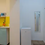 Spacious Apartmán Budapešť