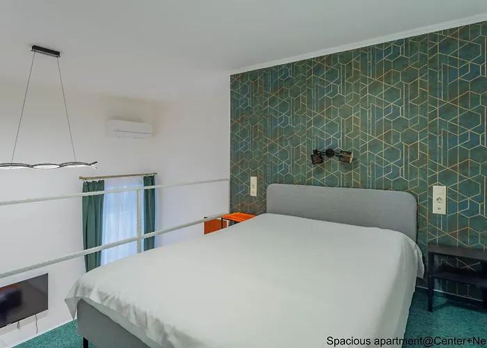 Spacious 公寓 *