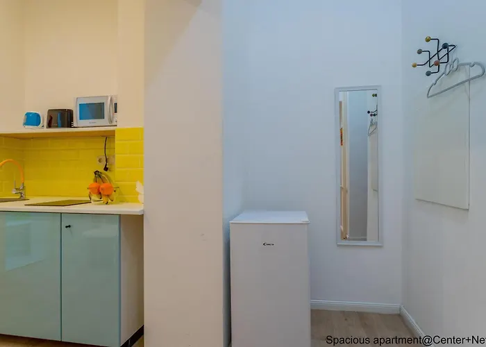 Spacious 公寓 布达佩斯